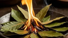 Weet jij waarom mensen laurierblad in huis verbranden? Het resultaat zal je verbazen.